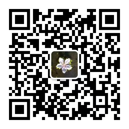 微信公众号二维码